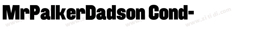 MrPalkerDadson Cond字体转换